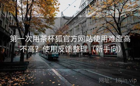第一次用茶杯狐官方网站使用难度高不高？使用反馈整理（新手向）