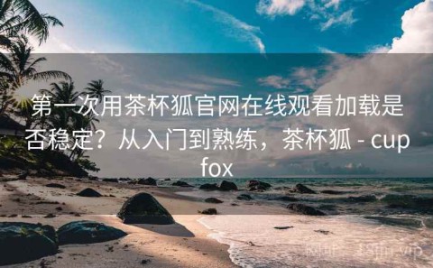第一次用茶杯狐官网在线观看加载是否稳定？从入门到熟练，茶杯狐 - cupfox