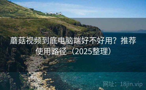 蘑菇视频到底电脑端好不好用？推荐使用路径（2025整理）