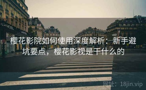 樱花影院如何使用深度解析：新手避坑要点，樱花影视是干什么的