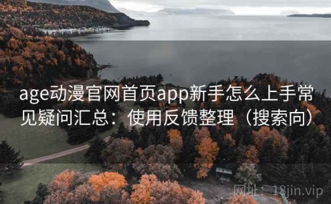 age动漫官网首页app新手怎么上手常见疑问汇总：使用反馈整理（搜索向）