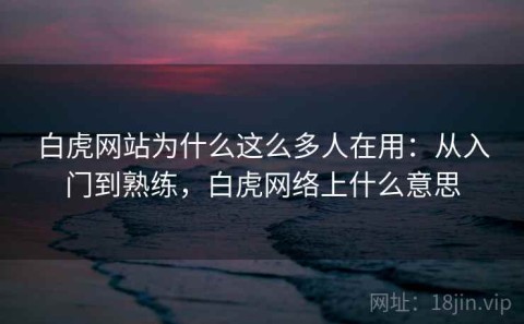 白虎网站为什么这么多人在用：从入门到熟练，白虎网络上什么意思