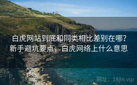 白虎网站到底和同类相比差别在哪？新手避坑要点，白虎网络上什么意思