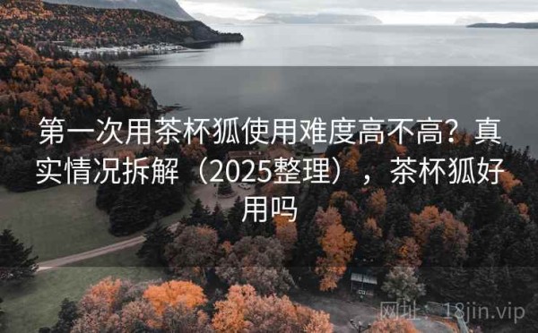第一次用茶杯狐使用难度高不高？真实情况拆解（2025整理），茶杯狐好用吗