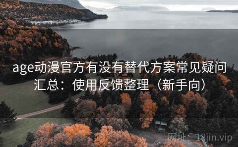 age动漫官方有没有替代方案常见疑问汇总：使用反馈整理（新手向）