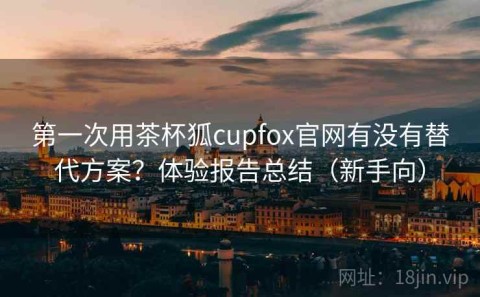 第一次用茶杯狐cupfox官网有没有替代方案？体验报告总结（新手向）