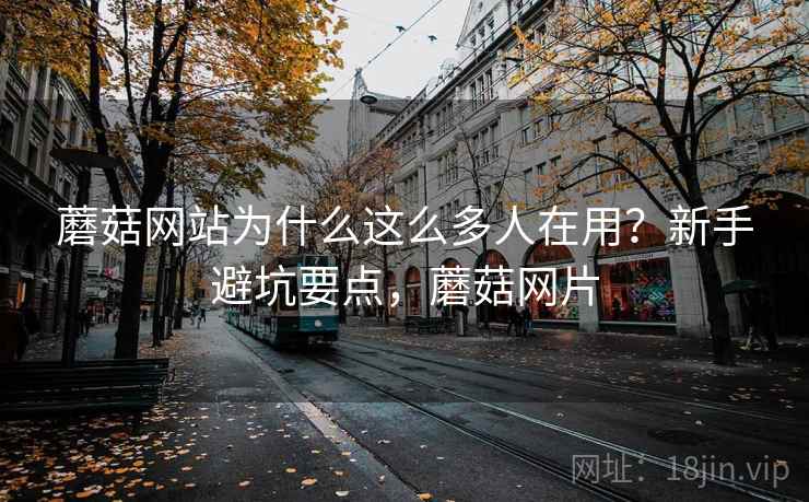 蘑菇网站为什么这么多人在用？新手避坑要点，蘑菇网片